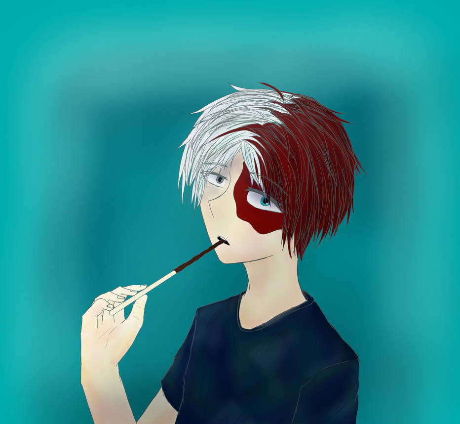 Todopocky Redraw {} 1 year later by CatchTheWolf on DeviantArt