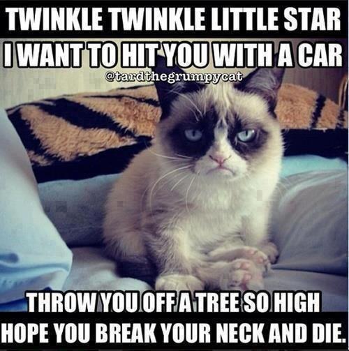 Grumpy Cat