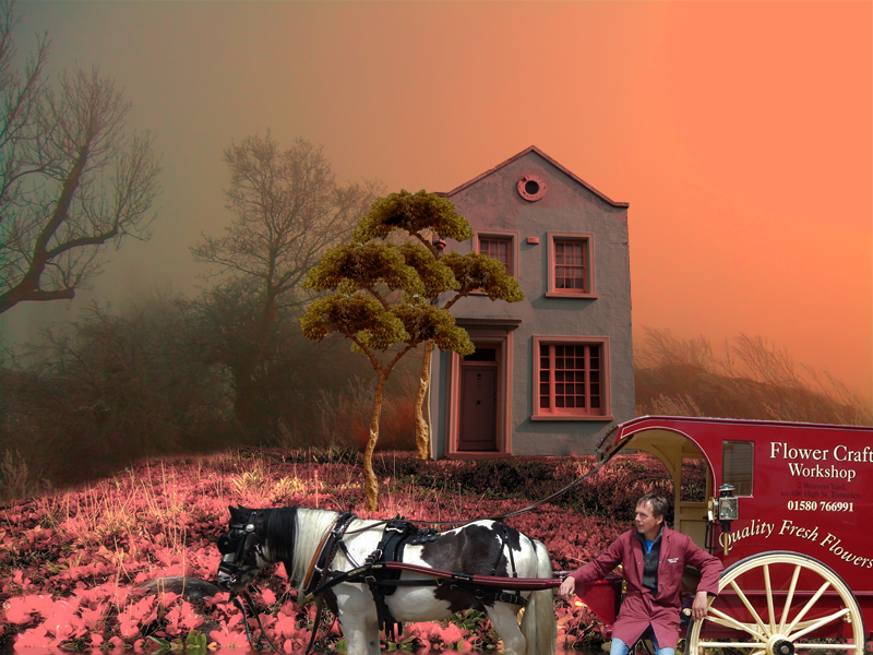 The Flower Vendor's House