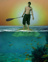 The Paddleboarder