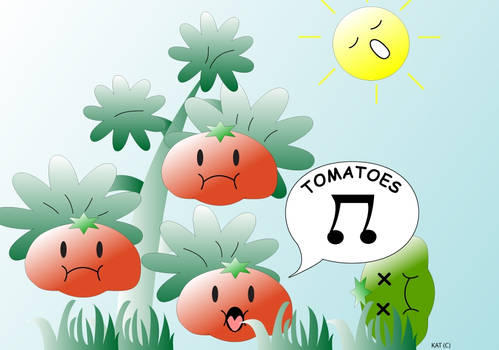 TOMATOES