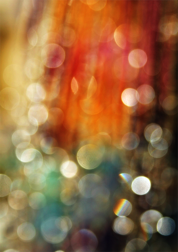 Sunny Bokeh