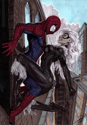 Spiderman And Black Cat by Nebezial