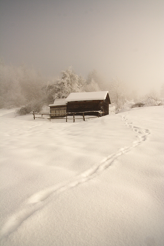 amazing snow