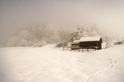 snow cover