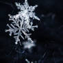 little snowflakes