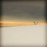 scratch the sky