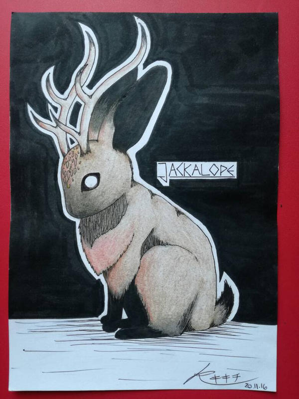 Jackalope