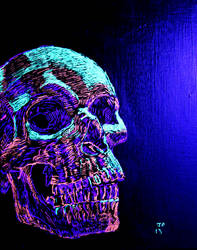 Neon Skull Black Light