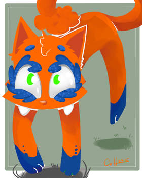 Orange Bow Meow?!
