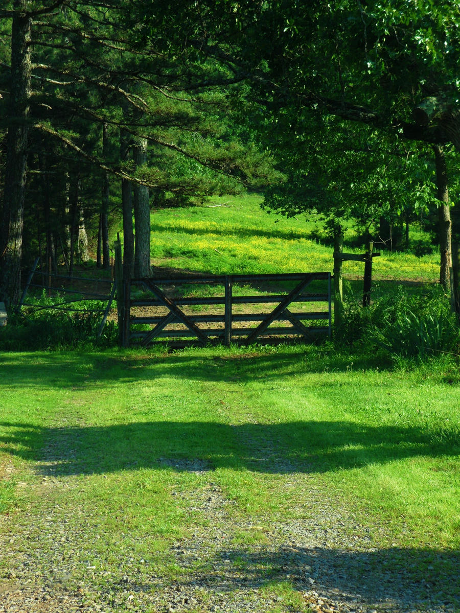 The Gate to Happiness