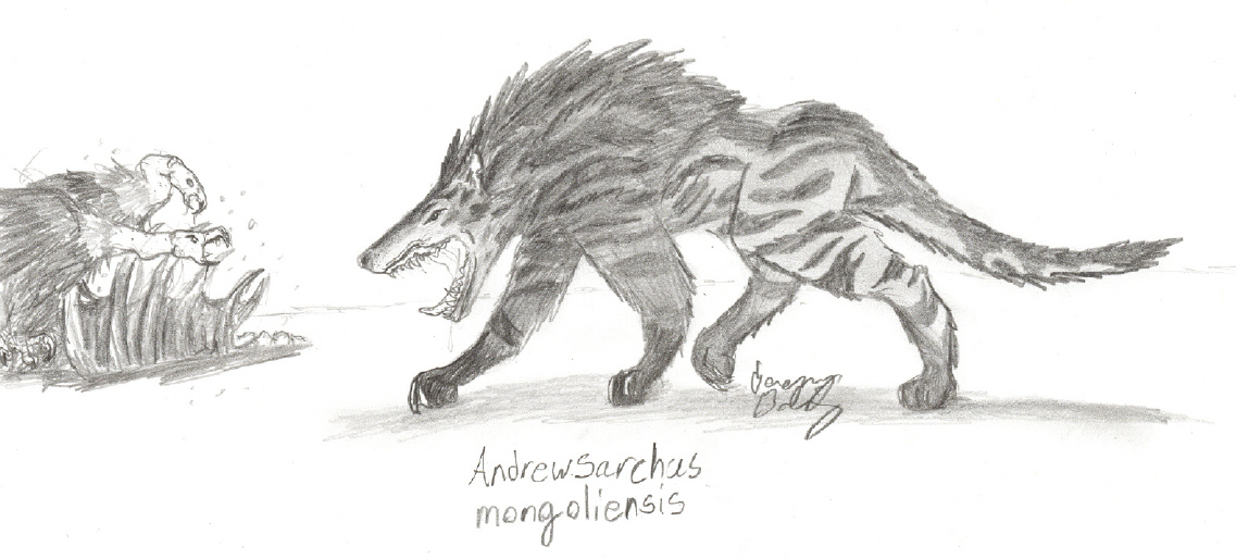 Andrewsarchus mongoliensis