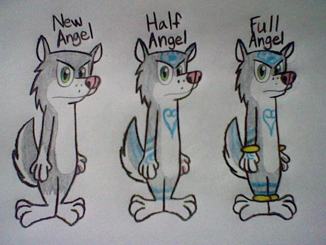 Dusk Angel Ref: Forms by DemetriDusk64 on DeviantArt