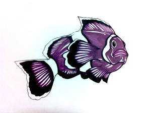 Purple Clownfish