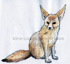 Fennec watercolor