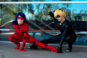 Ladybug And Cat Noir - 02