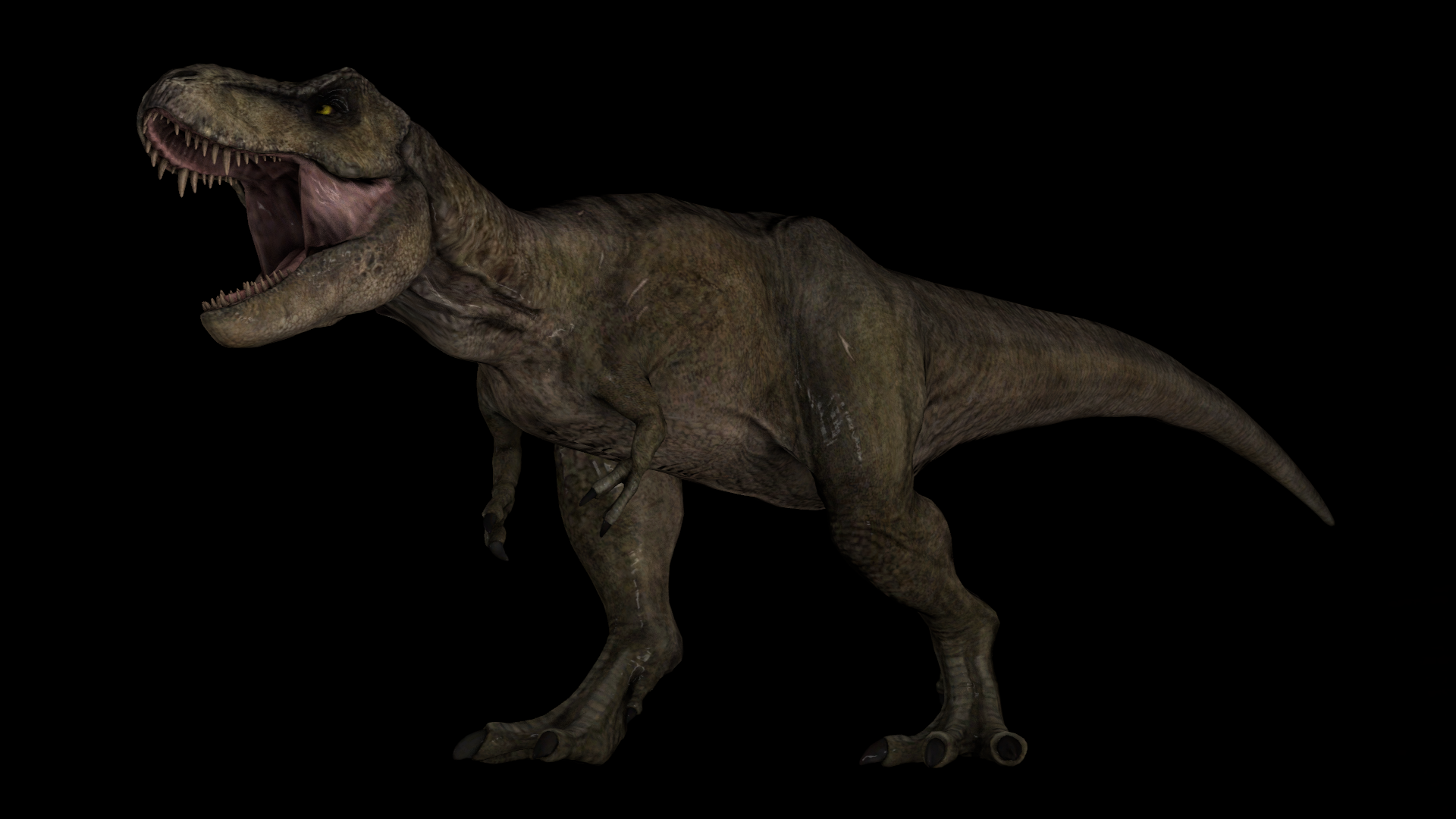 Rexy/Roberta (SFM Jurassic World) by WesO05 on DeviantArt
