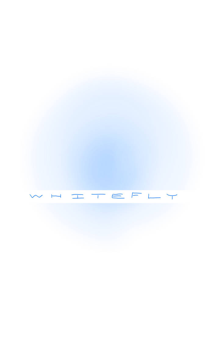 Whitefly Lettering Whitefly by TheHeadlessPheasant on DeviantArt