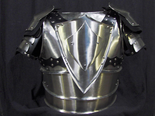 shielded back by LancierPilum on DeviantArt