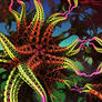 Fractalpus Animation (YouTube Link To Click On)