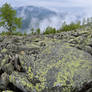 Gorgany mountains. Carpathians