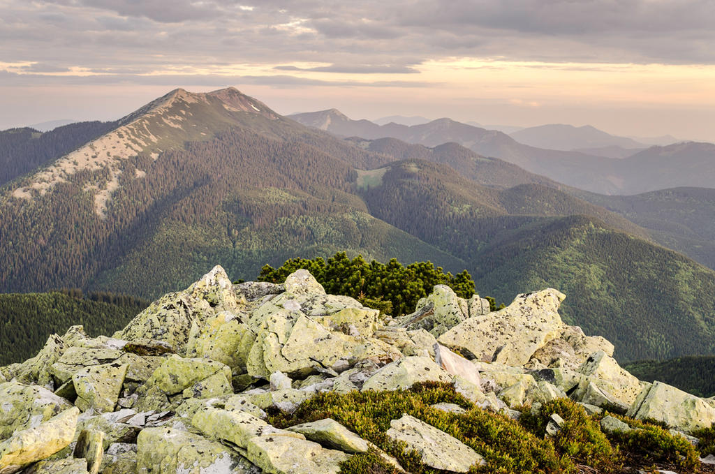 Gorgany mountains. Carpathians