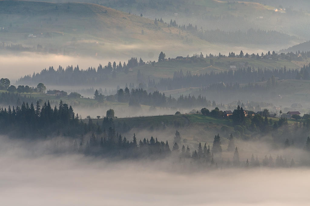 Foggy morning