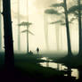 Wetlands