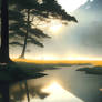 Wetlands