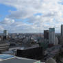 Birmingham from the Library