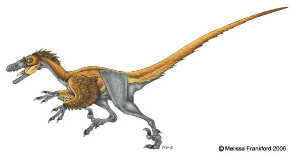 Velociraptor Concept