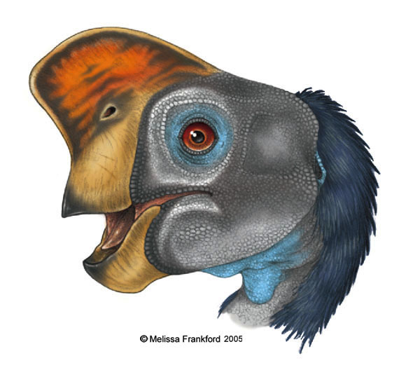 Oviraptor Head Study