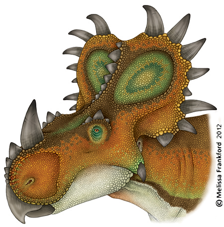 Sinoceratops