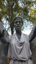 Weeping Angel2