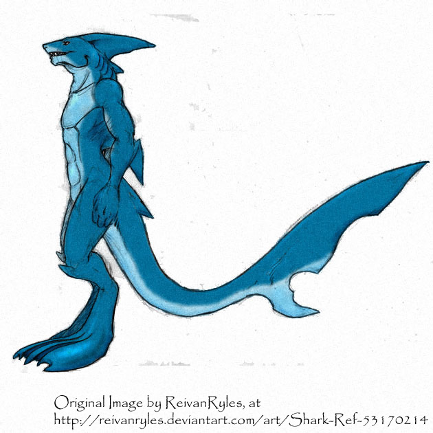 Shark Colored