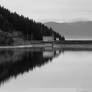 Wandering in nature | Lacul Frumoasa