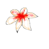 Scribbler Flower