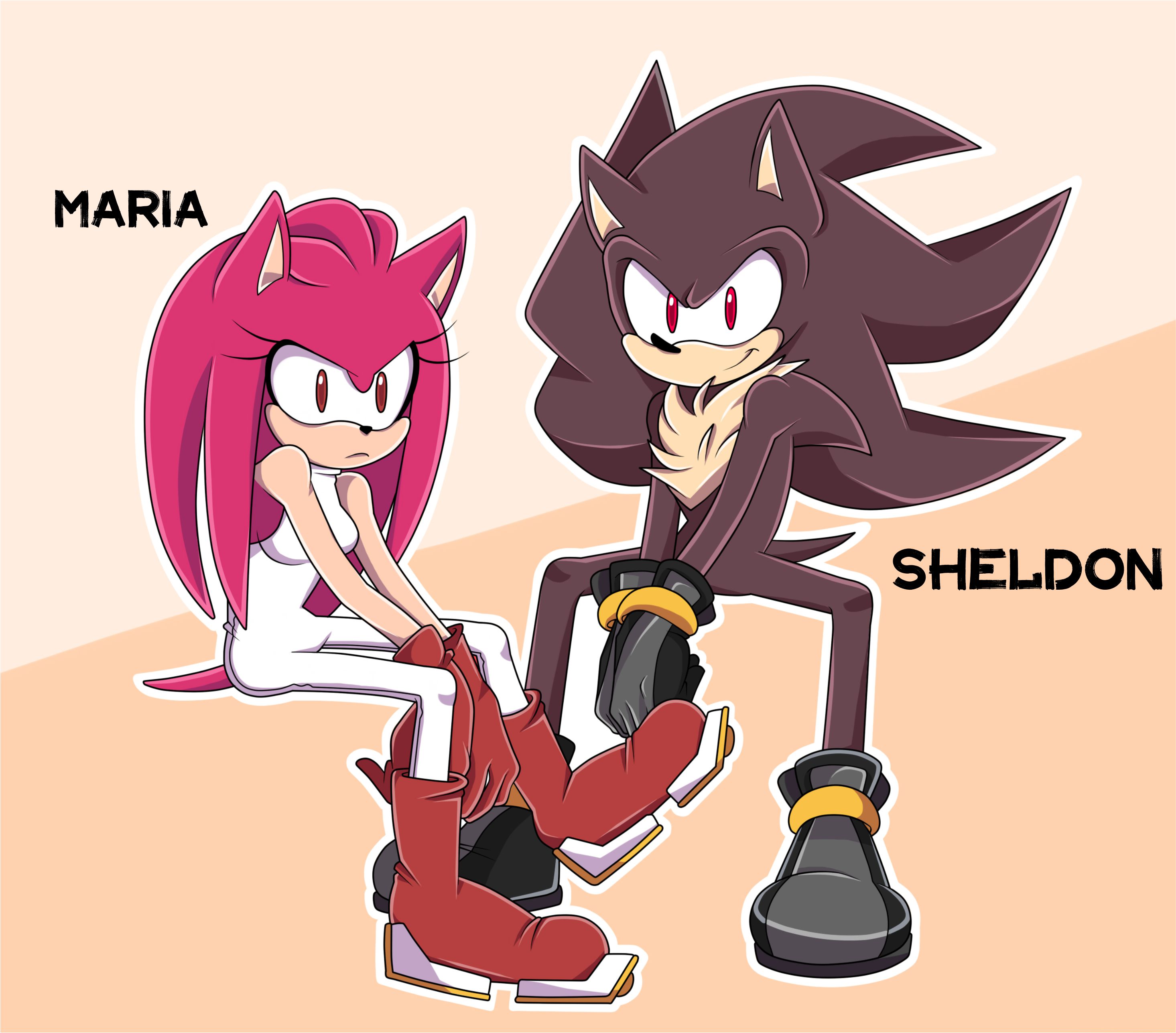 Sonic Amy Shadow by Vika7182 on DeviantArt