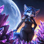 Sapphire Fox 00013-20240115161145850885-0000