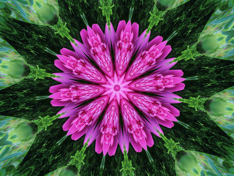 Kaleidoscope Flower