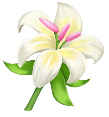 Lily-removebg-preview