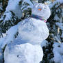 A Wobbly Snowman