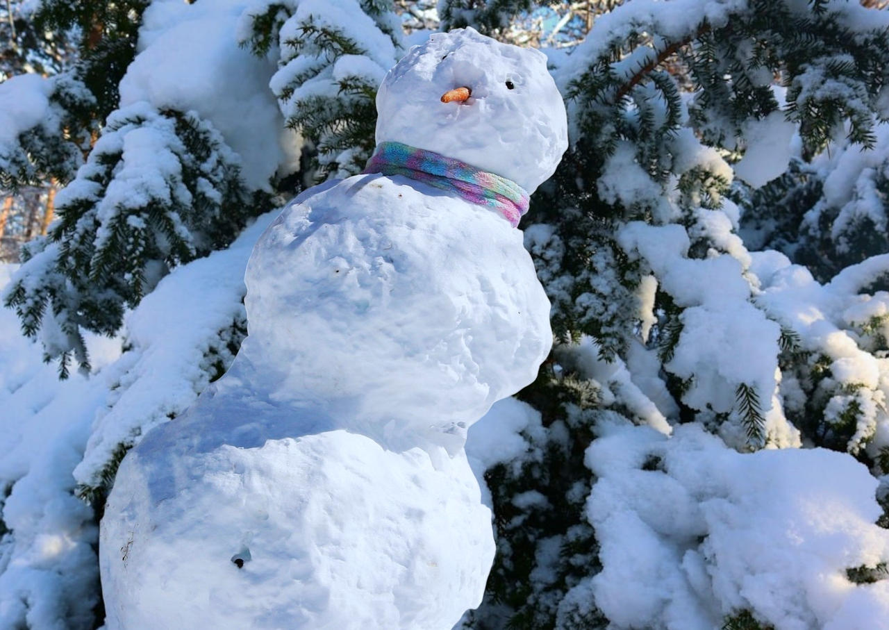 A Wobbly Snowman