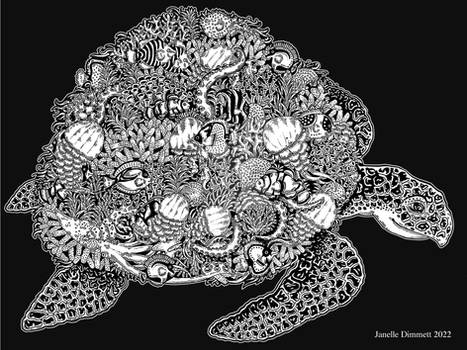 Living Sea Turtle Drawing