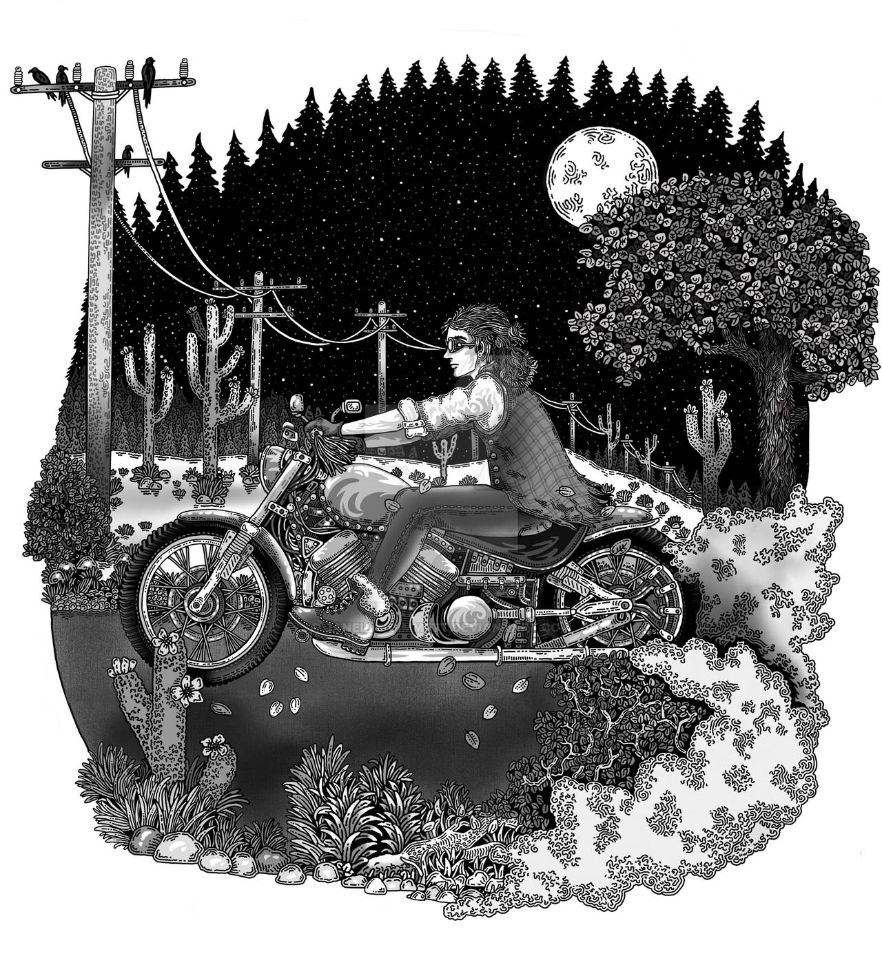 Deviantart Riding Motorcycle Desert Motorcycle Ride by Janelle-Dimmett on DeviantArt