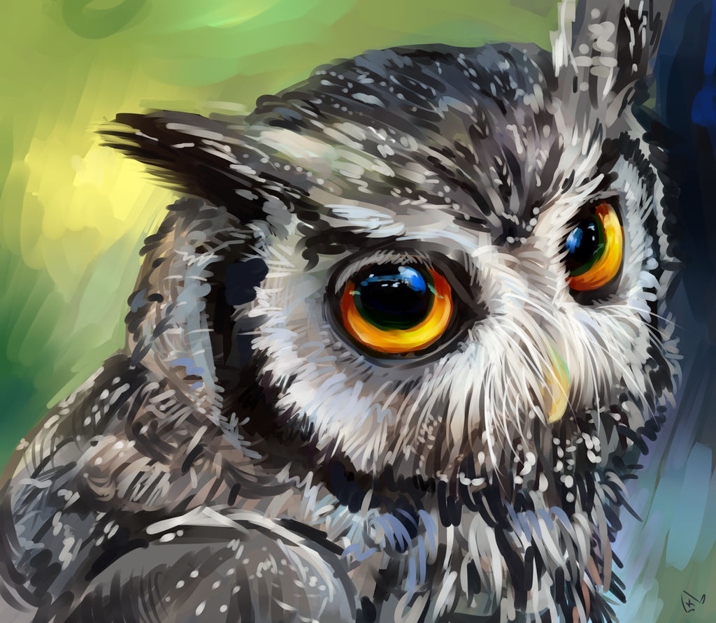 Birds Deviantart bird by AlaxendrA on DeviantArt