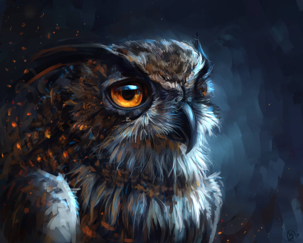 Night Owl By AlaxendrA On DeviantArt night-owl-by-alaxendra-on-deviantart
