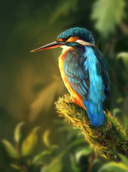 summer bird