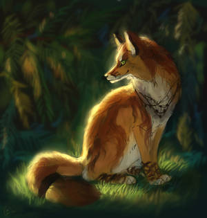 cunning fox