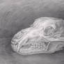 skull Venatici